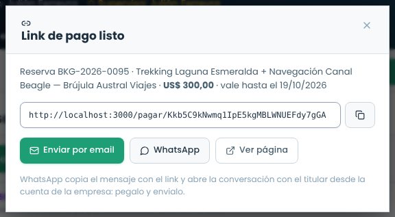 Link de pago listo con los botones Enviar por email, WhatsApp y Ver página